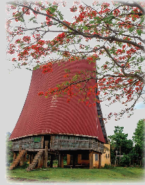 Toán lớp 5 Bài 16. Em làm được những gì - SGK chân trời sáng tạo 9