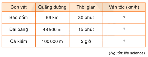 Toán lớp 5 Bài 166. Ôn tập về toán chuyển động đều - SGK Bình Minh 3