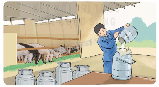 Toán lớp 5 Bài 19. Phép cộng số thập phân - SGK kết nối tri thức 11