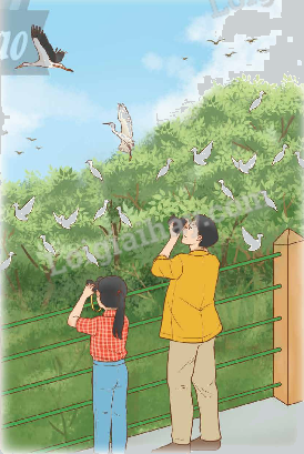 Toán lớp 5 Bài 2.Ôn tập phân số - SGK chân trời sáng tạo 7 1