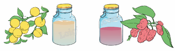 Toán lớp 5 Bài 20. Phép trừ số thập phân - SGK kết nối tri thức 5