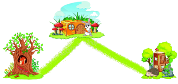 Toán lớp 5 Bài 22. Luyện tập chung - SGK Bình Minh 2 1