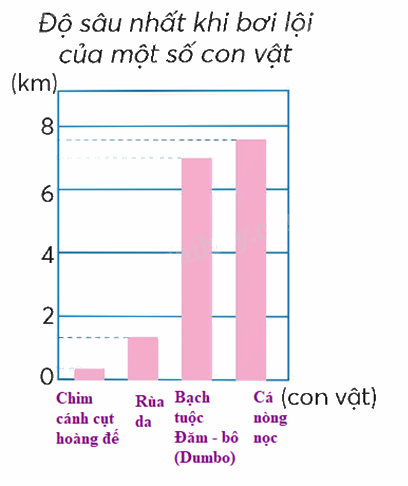 Toán lớp 5 Bài 23. Em làm được những gì? - SGK chân trời sáng tạo 3