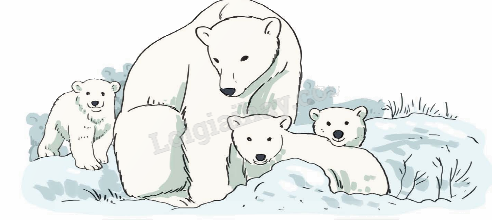 Toán lớp 5 Bài 23. Nhân, chia số thập phân với 10; 100; 1 000;... hoặc với 0,1; 0,01; 0,001;... - SGK kết nối tri thức 2 1