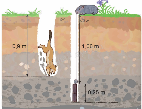 Toán lớp 5 Bài 24. Luyện tập chung - SGK kết nối tri thức 6