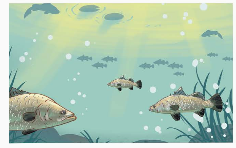 Toán lớp 5 Bài 24. Luyện tập chung - SGK kết nối tri thức 8