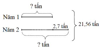 Toán lớp 5 Bài 24. Luyện tập chung - SGK kết nối tri thức 9