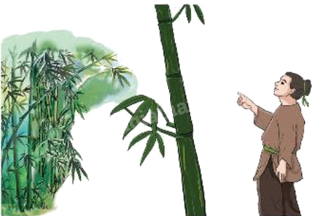 Toán lớp 5 Bài 24. Viết các số đo độ dài dưới dạng số thập phân - SGK chân trời sáng tạo 1