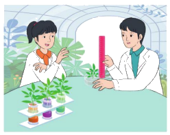 Toán lớp 5 Bài 25. Cộng các số thập phân - SGK cánh diều 3 1