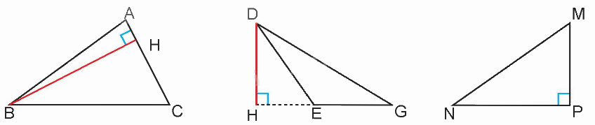 Toán lớp 5 Bài 25. Hình tam giác. Diện tích hình tam giác - SGK kết nối tri thức 1 1