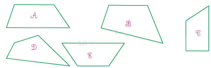 Toán lớp 5 Bài 26. Hình thang. Diện tích hình thang - SGK kết nối tri thức 0 1