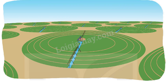 Toán lớp 5 Bài 27. Đường tròn. Chu vi và diện tích hình tròn - SGK kết nối tri thức 13 1