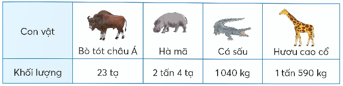 Toán lớp 5 Bài 27. Em làm được những gì? - SGK chân trời sáng tạo 5