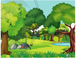 Toán lớp 5 Bài 29. Nhân một số thập phân với một số tự nhiên - SGK cánh diều 5