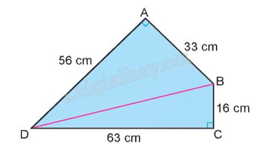 Toán lớp 5 Bài 33. Ôn tập diện tích, chu vi một số hình phẳng - SGK kết nối tri thức 10