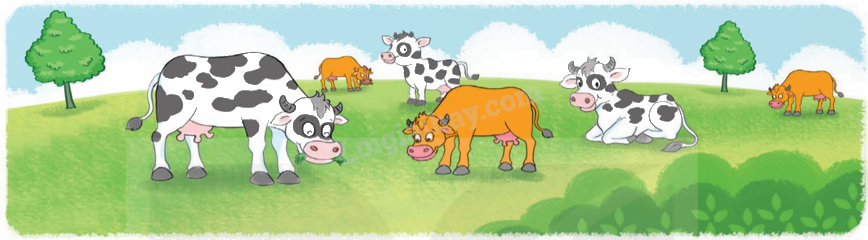 Toán lớp 5 Bài 38. Tìm hai số khi biết tổng và tỉ số của hai số đó - SGK Kết nối tri thức với cuộc sống 1