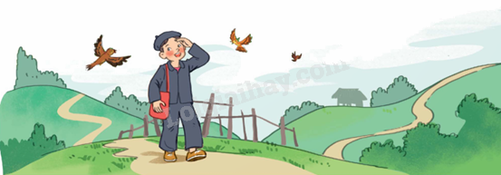 Toán lớp 5 Bài 38. Tìm hai số khi biết tổng và tỉ số của hai số đó - SGK Kết nối tri thức với cuộc sống 4