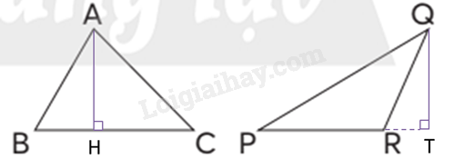 Toán lớp 5 Bài 43. Hình tam giác - SGK chân trời sáng tạo 2 2