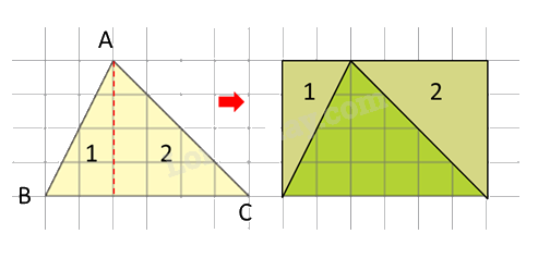 Toán lớp 5 Bài 43. Hình tam giác - SGK chân trời sáng tạo 6