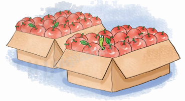 Toán lớp 5 Bài 44. Luyện tập chung - SGK Kết nối tri thức với cuộc sống 7