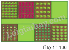 Toán lớp 5 Bài 46. Luyện tập chung - SGK cánh diều 5 1