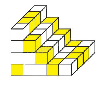 Toán lớp 5 Bài 48. Luyện tập chung - SGK Kết nối tri thức với cuộc sống 4