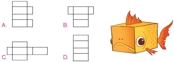 Toán lớp 5 Bài 49. Hình khai triển của hình lập phương, hình hộp chữ nhật và hình trụ - SGK Kết nối tri thức với cuộc sống 1 1