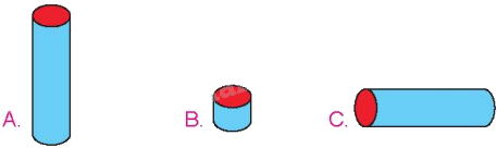 Toán lớp 5 Bài 49. Hình khai triển của hình lập phương, hình hộp chữ nhật và hình trụ - SGK Kết nối tri thức với cuộc sống 8