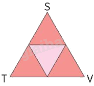 Toán lớp 5 Bài 50. Em làm được những gì?- SGK chân trời sáng tạo 2