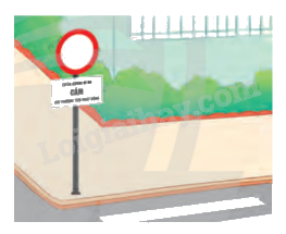 Toán lớp 5 Bài 50. Em làm được những gì?- SGK chân trời sáng tạo 3