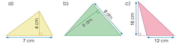 Toán lớp 5 Bài 51. Diện tích hình tam giác - SGK cánh diều 1