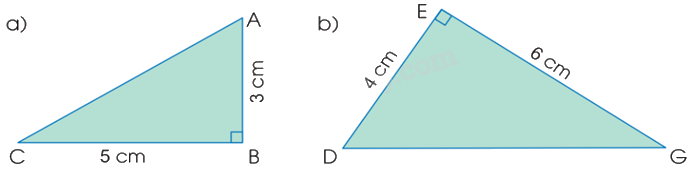 Toán lớp 5 Bài 51. Diện tích hình tam giác - SGK cánh diều 2