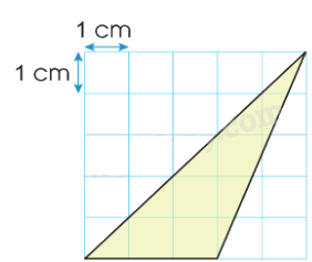 Toán lớp 5 Bài 51. Diện tích hình tam giác - SGK cánh diều 3 1