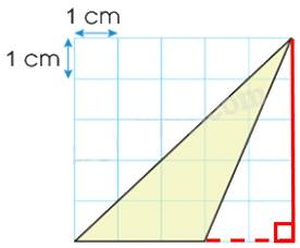 Toán lớp 5 Bài 51. Diện tích hình tam giác - SGK cánh diều 4