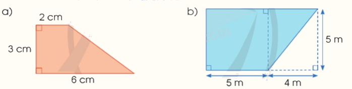 Toán lớp 5 Bài 53. Diện tích hình thang - SGK cánh diều 2 1