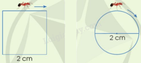 Toán lớp 5 Bài 55. Chu vi hình tròn - SGK cánh diều 3 1