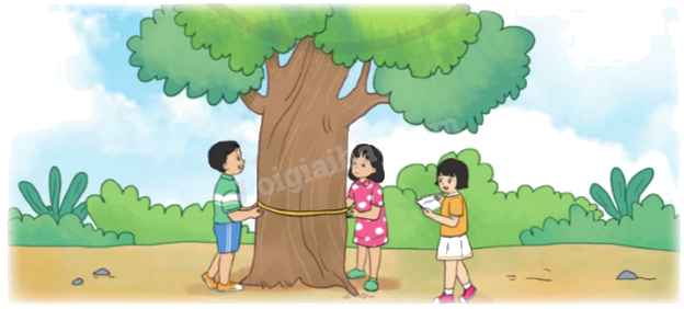 Toán lớp 5 Bài 55. Chu vi hình tròn - SGK cánh diều 6