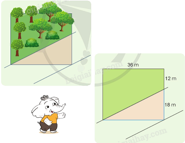 Toán lớp 5 Bài 57. Luyện tập về tính diện tích - SGK cánh diều 11