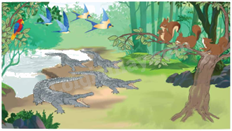 Toán lớp 5 Bài 57. Tính tỉ số phần trăm của hai số - SGK chân trời sáng tạo 6 1