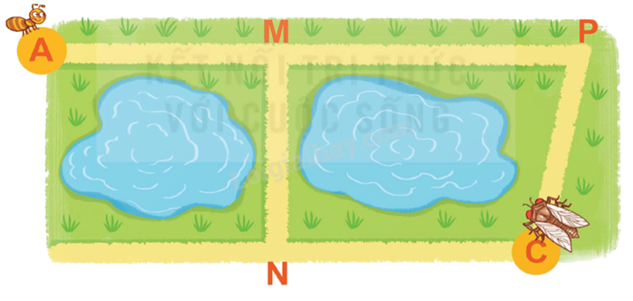 Toán lớp 5 Bài 58. Nhân chia số đo thời gian với một số - SGK Kết nối tri thức với cuộc sống 14