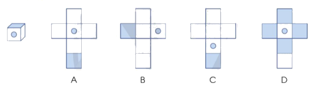 Toán lớp 5 Bài 59. Hình khai triển của hình hộp chữ nhật, Hình lập phương, hình trụ - SGK cánh diều 6