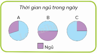 Toán lớp 5 Bài 62. Biểu đồ hình quạt - SGK chân trời sáng tạo 3