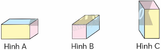Toán lớp 5 Bài 64. Hình hộp chữ nhật, hình lập phương - SGK chân trời sáng tạo 2