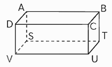 Toán lớp 5 Bài 64. Hình hộp chữ nhật, hình lập phương - SGK chân trời sáng tạo 5