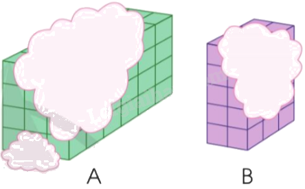 Toán lớp 5 Bài 67. Luyện tập chung - SGK cánh diều 4 1
