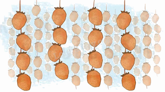 Toán lớp 5 Bài 70. Ôn tập tỉ số, tỉ số phần trăm - SGK Kết nối tri thức với cuộc sống 4