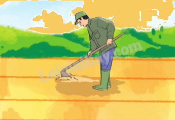 Toán lớp 5 Bài 71. Luyện tập - SGK cánh diều 3