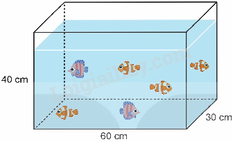 Toán lớp 5 Bài 71. Ôn tập hình học - SGK Kết nối tri thức với cuộc sống 15 1