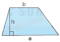 Toán lớp 5 Bài 71. Ôn tập hình học - SGK Kết nối tri thức với cuộc sống 8