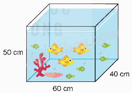 Toán lớp 5 Bài 72. Ôn tập đo lường - SGK Kết nối tri thức với cuộc sống 2 1